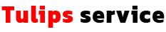 نمایندگی مرکزی تکنو